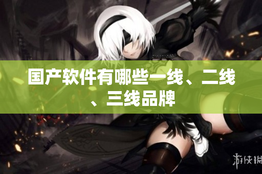 国产软件有哪些一线、二线、三线品牌