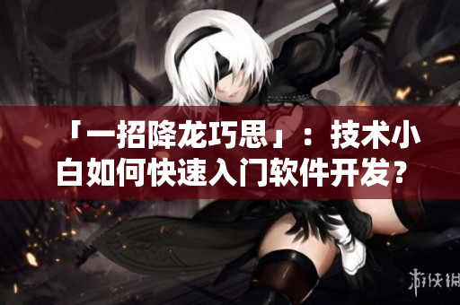 「一招降龙巧思」：技术小白如何快速入门软件开发？
