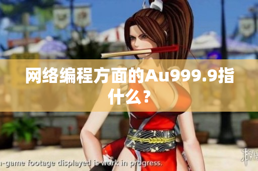网络编程方面的Au999.9指什么？