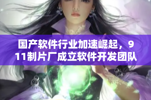 国产软件行业加速崛起，911制片厂成立软件开发团队！