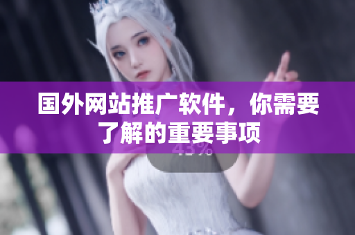 国外网站推广软件，你需要了解的重要事项