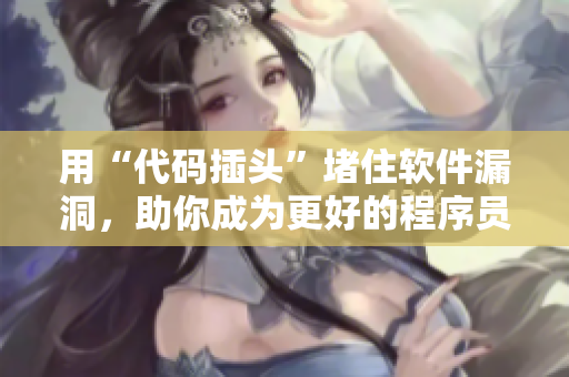用“代码插头”堵住软件漏洞，助你成为更好的程序员