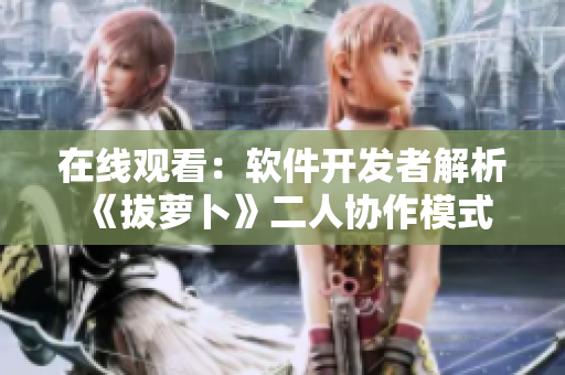 在线观看：软件开发者解析《拔萝卜》二人协作模式