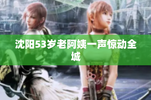 沈阳53岁老阿姨一声惊动全城