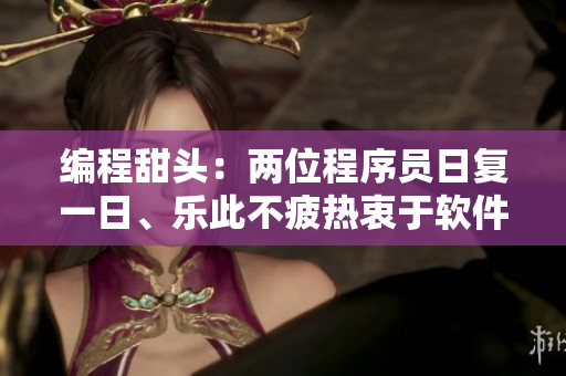 编程甜头：两位程序员日复一日、乐此不疲热衷于软件开发