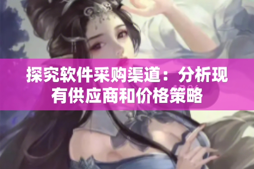 探究软件采购渠道：分析现有供应商和价格策略