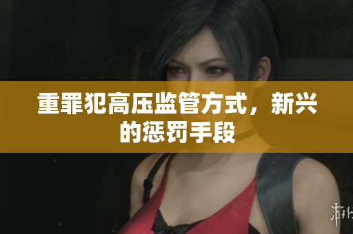 重罪犯高压监管方式，新兴的惩罚手段