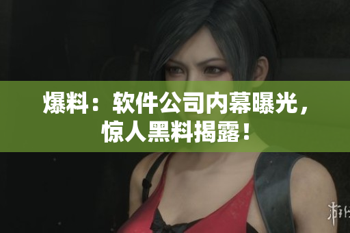 爆料：软件公司内幕曝光，惊人黑料揭露！