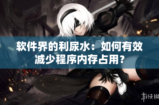 软件界的利尿水：如何有效减少程序内存占用？