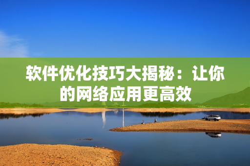 软件优化技巧大揭秘：让你的网络应用更高效