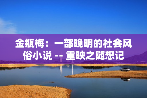 金瓶梅：一部晚明的社会风俗小说 -- 重映之随想记