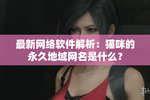 最新网络软件解析：猫咪的永久地域网名是什么？