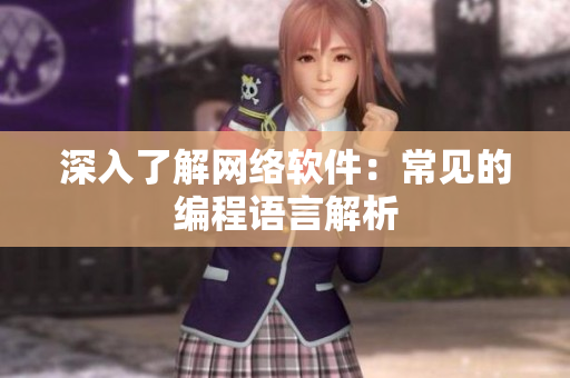 深入了解网络软件：常见的编程语言解析