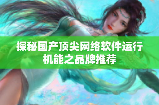 探秘国产顶尖网络软件运行机能之品牌推荐