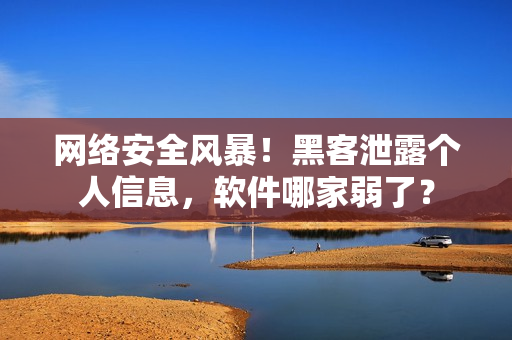 网络安全风暴！黑客泄露个人信息，软件哪家弱了？