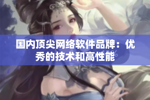 国内顶尖网络软件品牌：优秀的技术和高性能