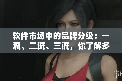 软件市场中的品牌分级：一流、二流、三流，你了解多少？