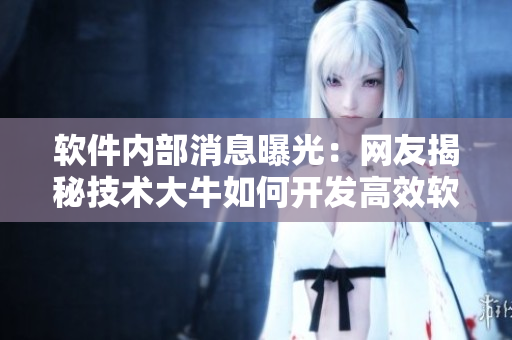 软件内部消息曝光：网友揭秘技术大牛如何开发高效软件