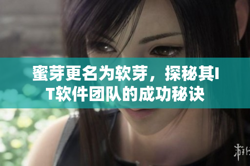 蜜芽更名为软芽，探秘其IT软件团队的成功秘诀