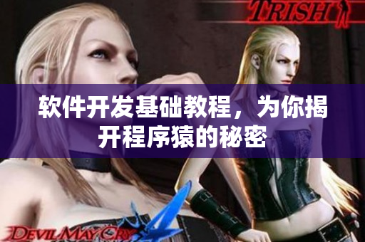 软件开发基础教程，为你揭开程序猿的秘密