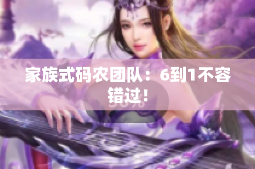 家族式码农团队：6到1不容错过！