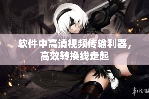 软件中高清视频传输利器，高效转换线走起
