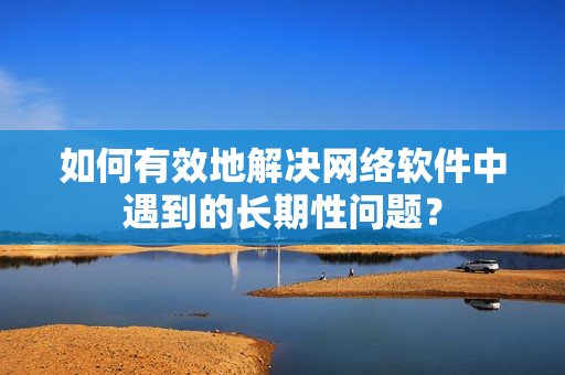 如何有效地解决网络软件中遇到的长期性问题？