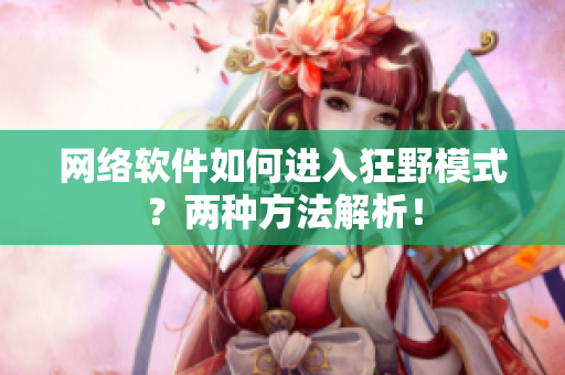 网络软件如何进入狂野模式？两种方法解析！