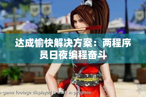 达成愉快解决方案：两程序员日夜编程奋斗