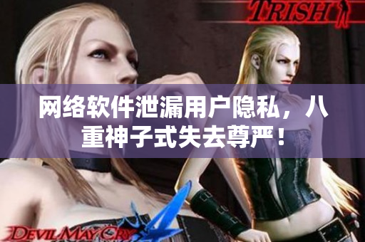 网络软件泄漏用户隐私，八重神子式失去尊严！