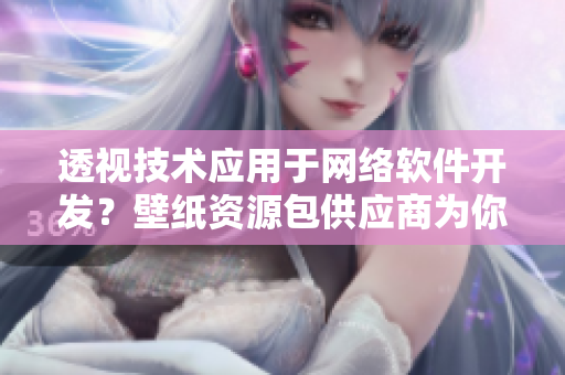 透视技术应用于网络软件开发？壁纸资源包供应商为你揭秘