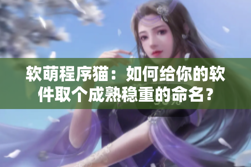 软萌程序猫：如何给你的软件取个成熟稳重的命名？
