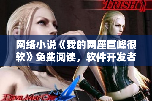 网络小说《我的两座巨峰很软》免费阅读，软件开发者必备！