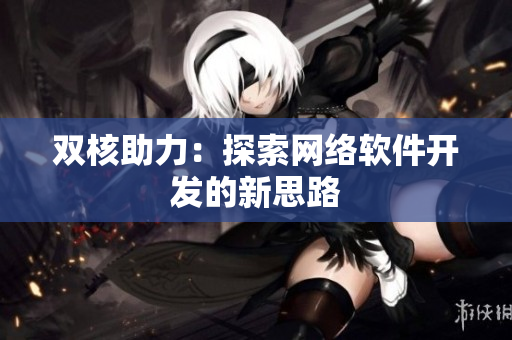 双核助力：探索网络软件开发的新思路