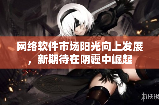 网络软件市场阳光向上发展，新期待在阴霾中崛起