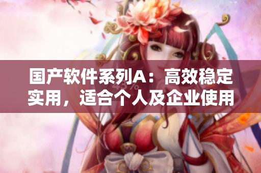 国产软件系列A：高效稳定实用，适合个人及企业使用
