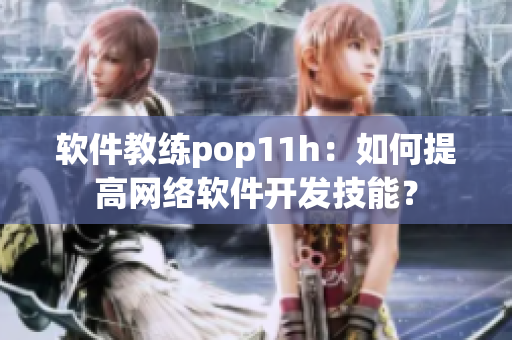 软件教练pop11h：如何提高网络软件开发技能？