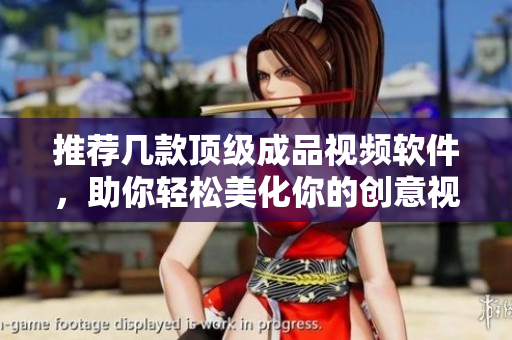 推荐几款顶级成品视频软件，助你轻松美化你的创意视频