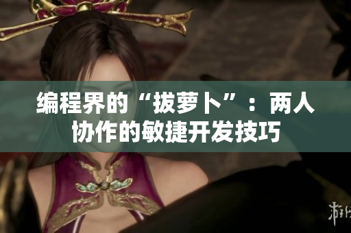 编程界的“拔萝卜”：两人协作的敏捷开发技巧