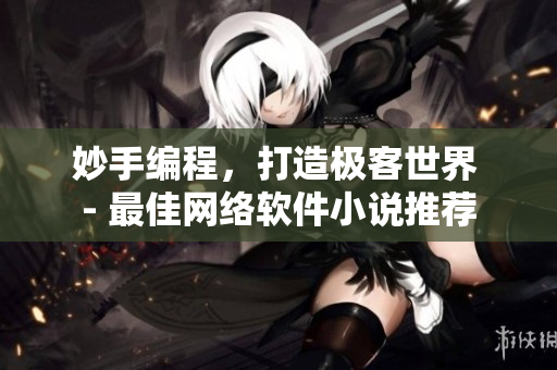 妙手编程，打造极客世界 - 最佳网络软件小说推荐