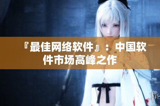 『最佳网络软件』：中国软件市场高峰之作