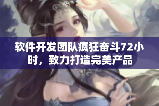 软件开发团队疯狂奋斗72小时，致力打造完美产品