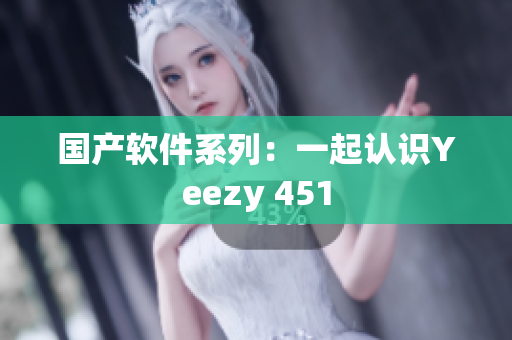 国产软件系列：一起认识Yeezy 451