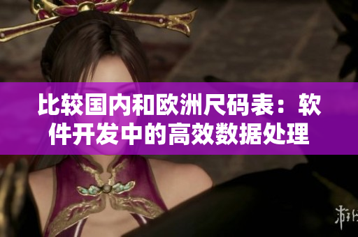 比较国内和欧洲尺码表：软件开发中的高效数据处理