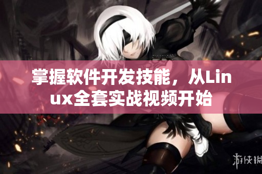 掌握软件开发技能，从Linux全套实战视频开始