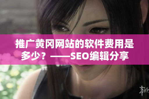 推广黄冈网站的软件费用是多少？——SEO编辑分享