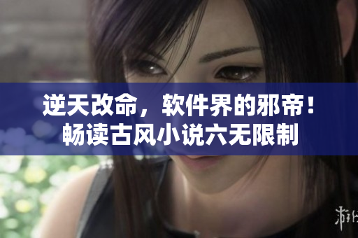 逆天改命，软件界的邪帝！畅读古风小说六无限制