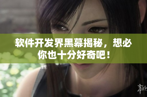软件开发界黑幕揭秘，想必你也十分好奇吧！