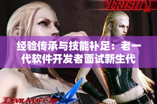 经验传承与技能补足：老一代软件开发者面试新生代