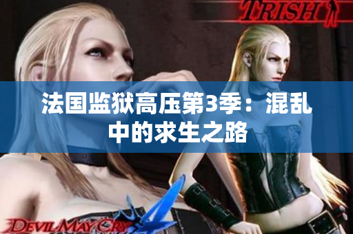 法国监狱高压第3季：混乱中的求生之路